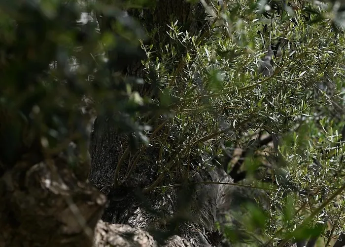 Casa de Férias Cycladic Ii *